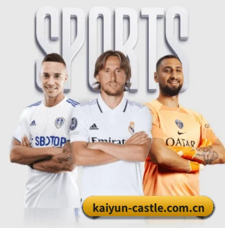 五大体育板块覆盖,从比分到直播全覆盖(kaiyun)
